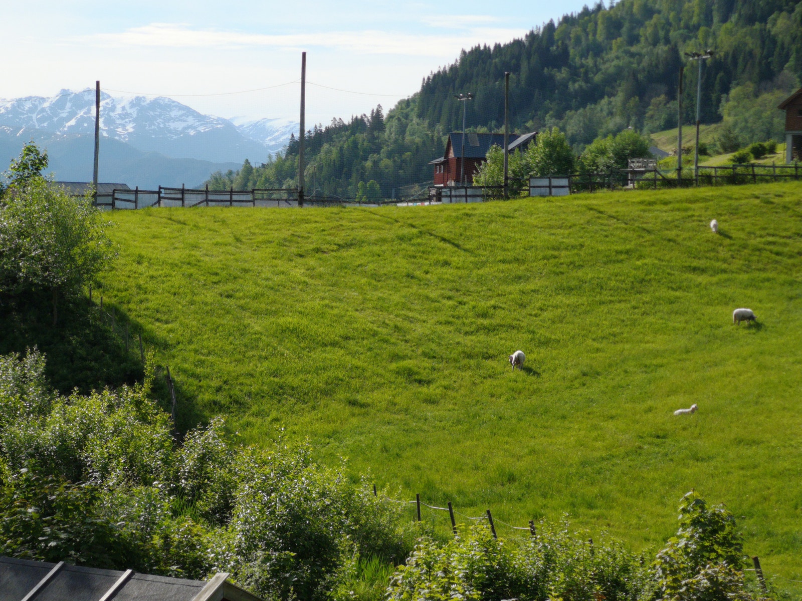 Ser så vidt folgefonna og fjell mot sjøen. Bak åsen er kunstgressbane. Galleribilde