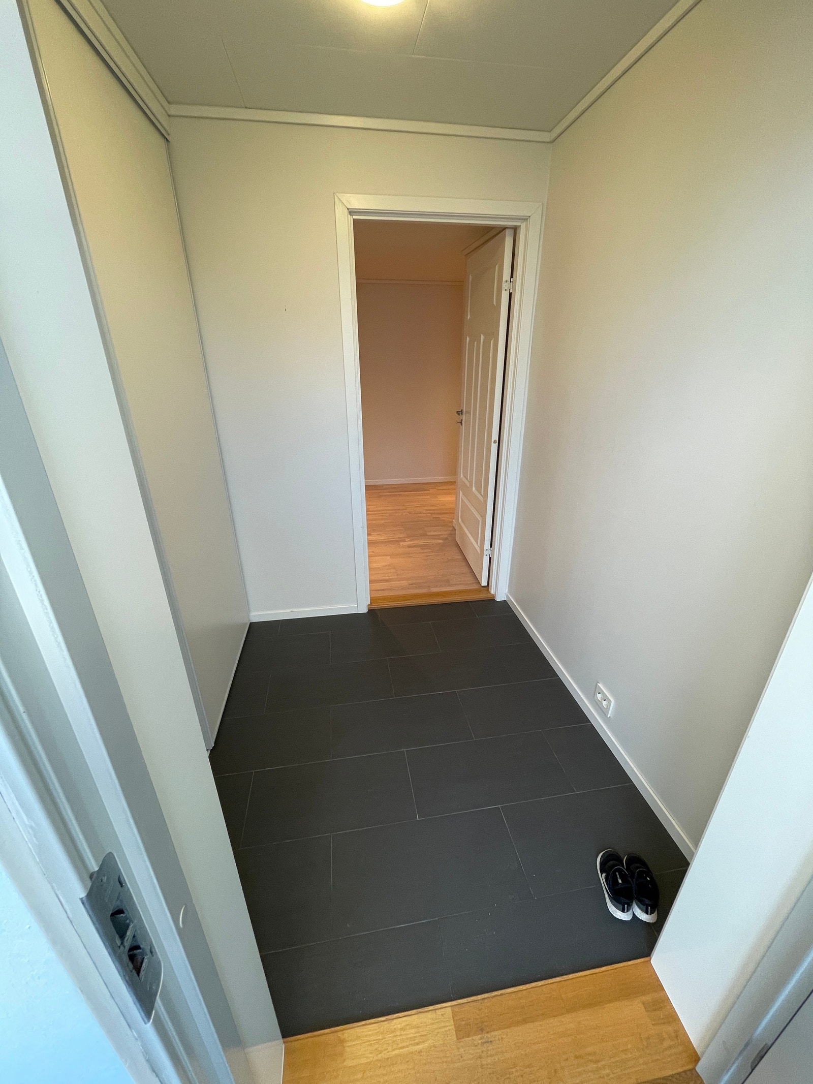 Gang/Vindfang med Garderobe Galleribilde