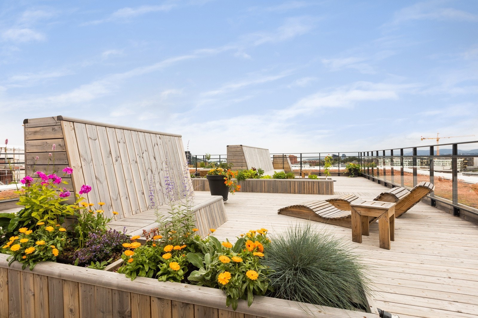 Felles takterrasse med solstoler Galleribilde