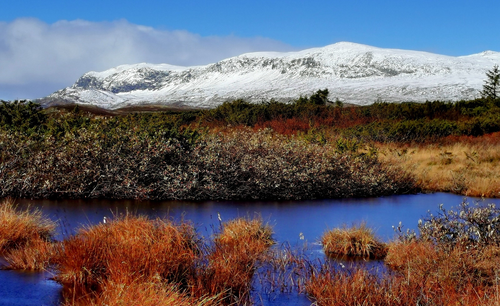 8.sept 2022. Reineskarvet.
Bildet tatt nokre 100 meter på oversida av tomtene. Foto: Nils Medgard Galleribilde