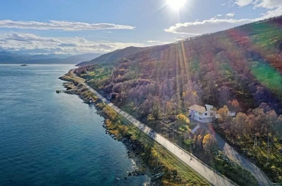 Området Galleribilde