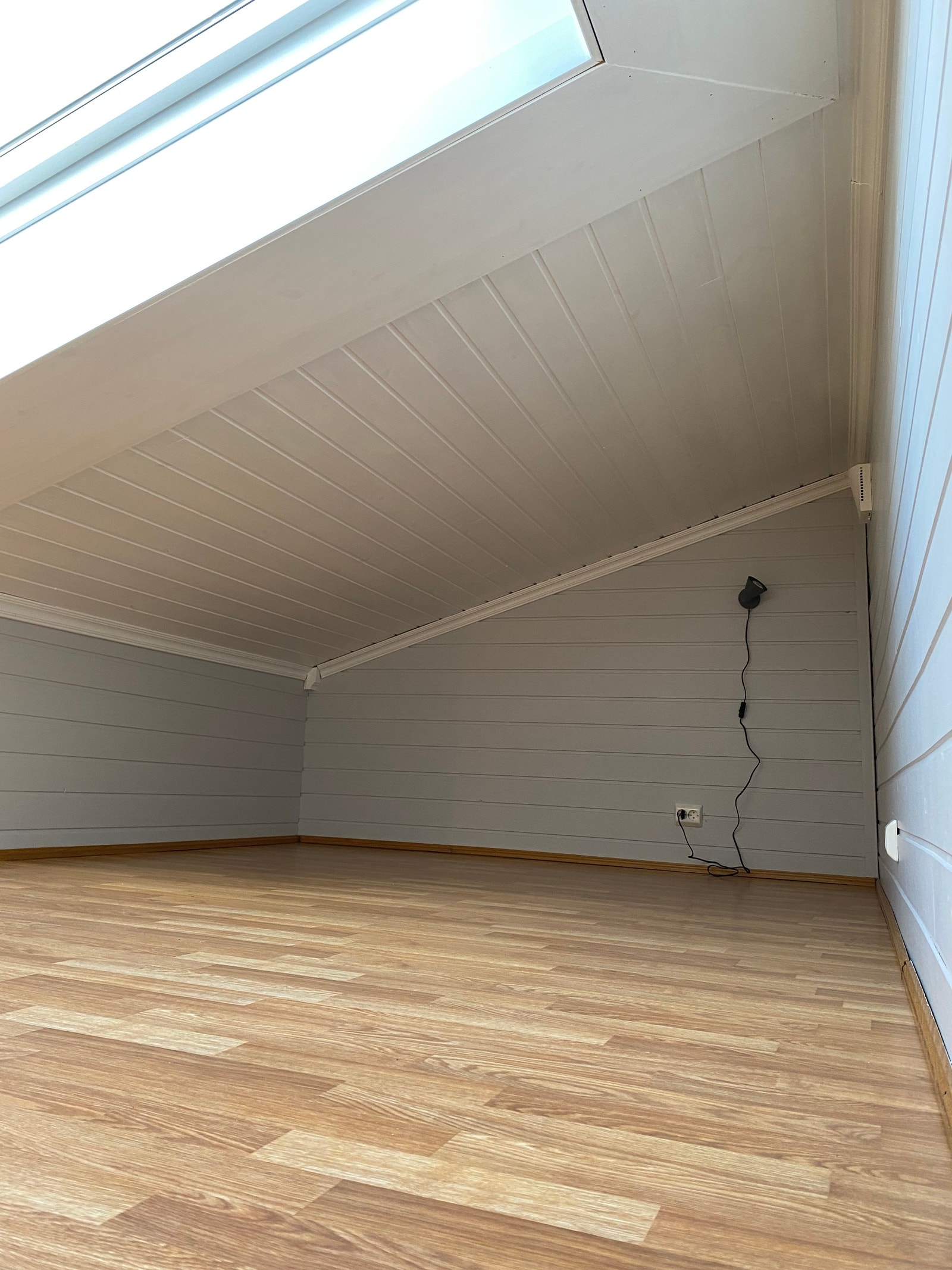 Stor hems med takvindu Galleribilde