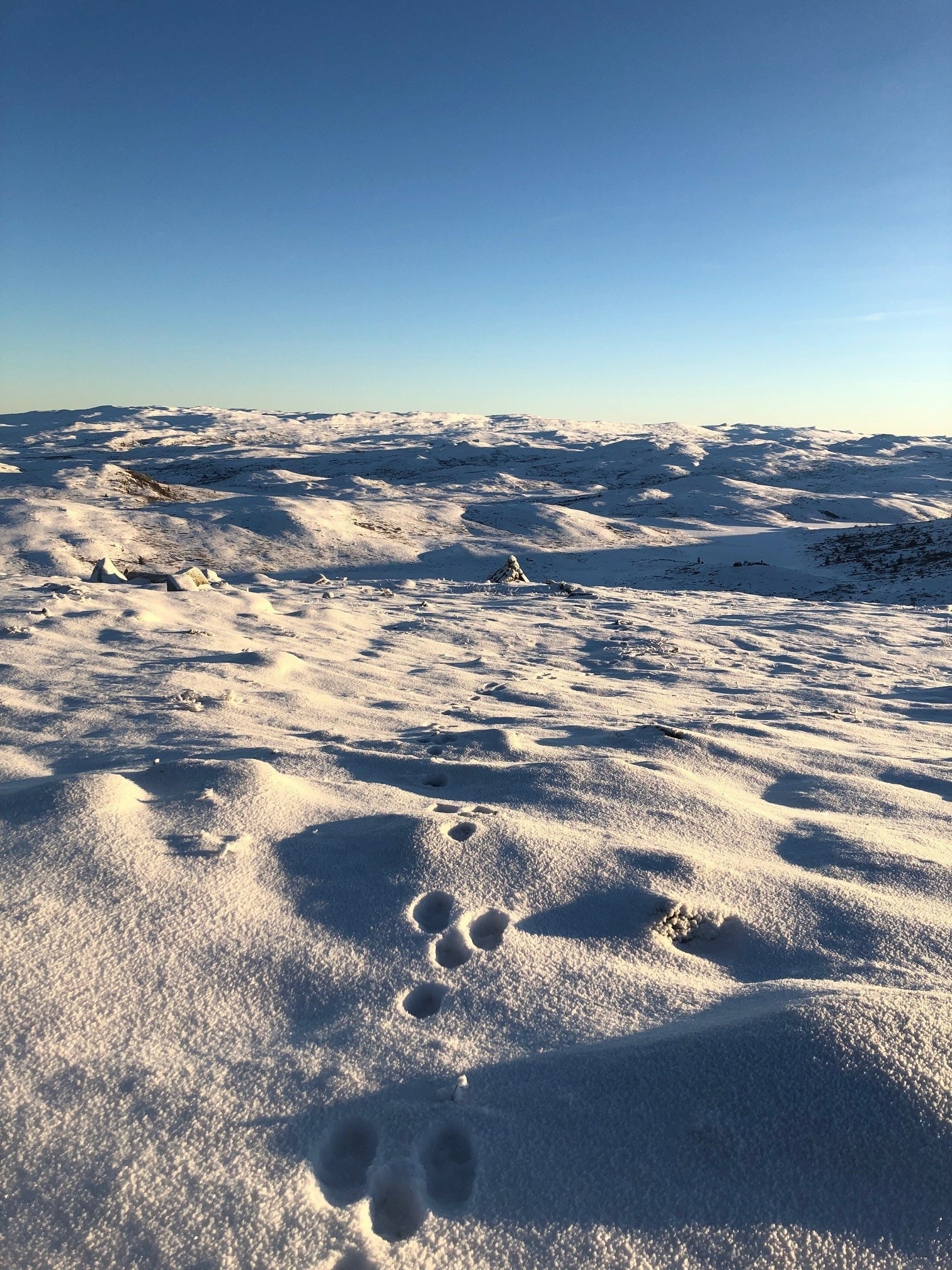 Åkrefjell Galleribilde