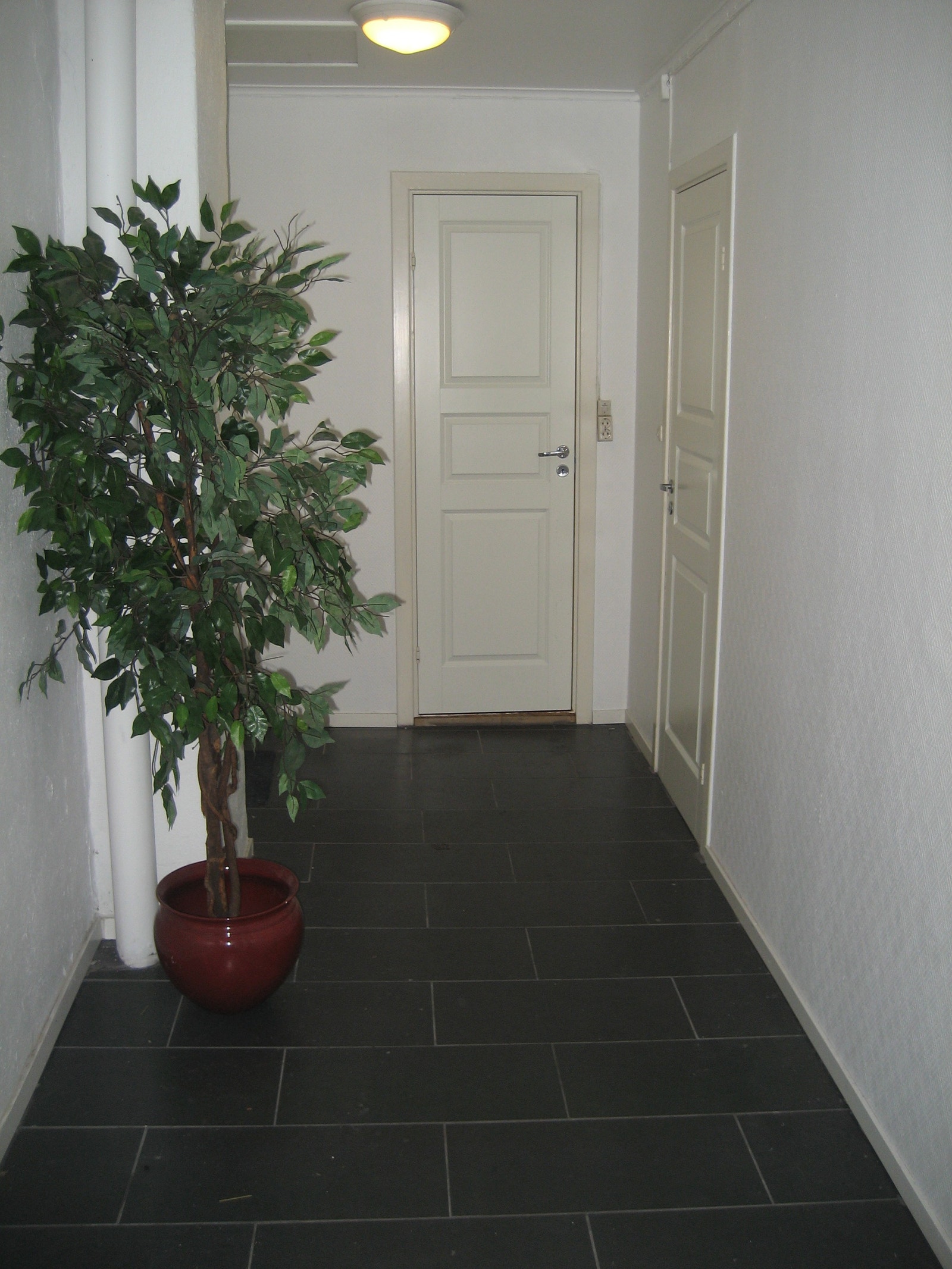 Fellesgang ved hybelen Galleribilde