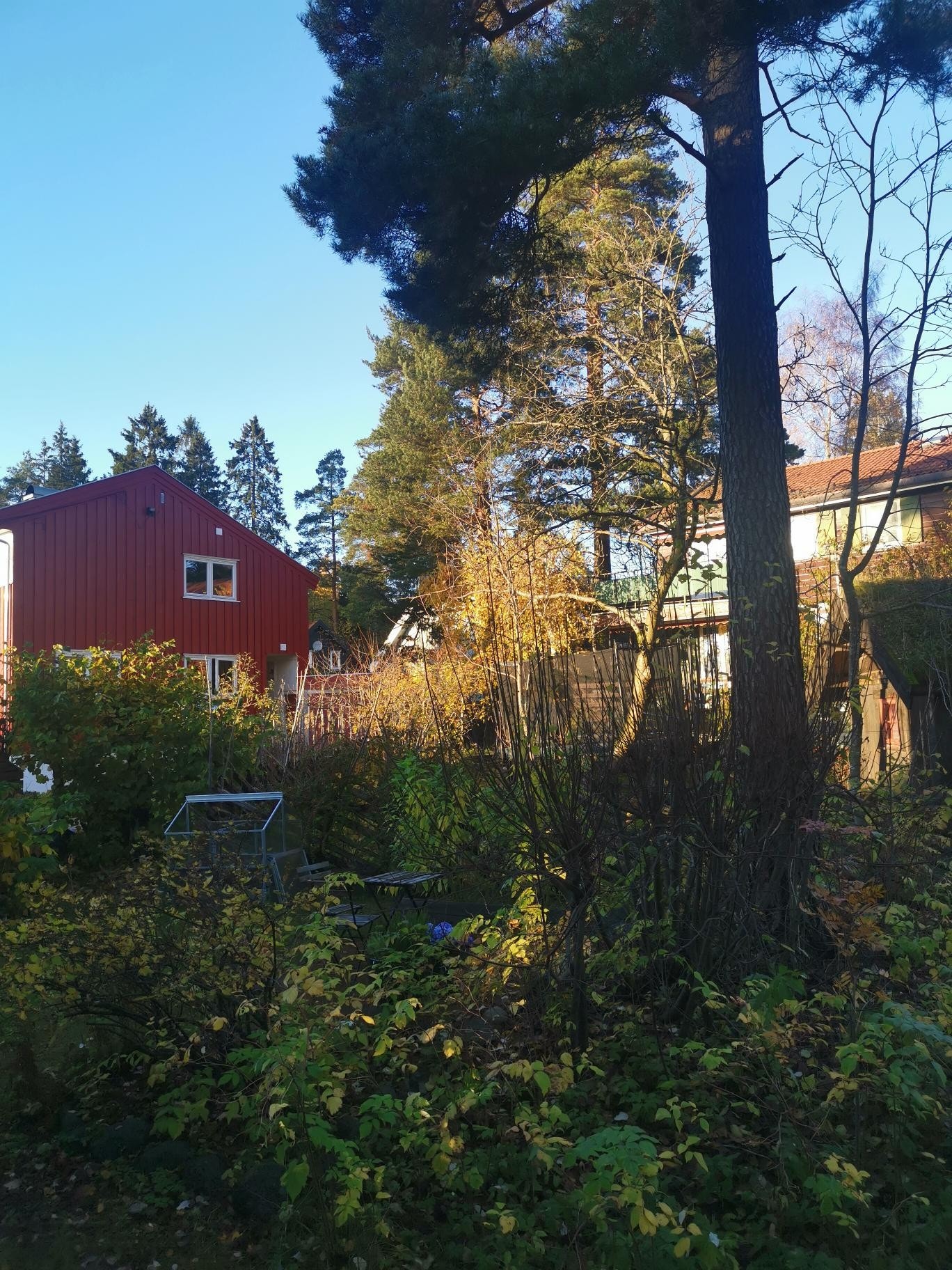 Uteplass Galleribilde