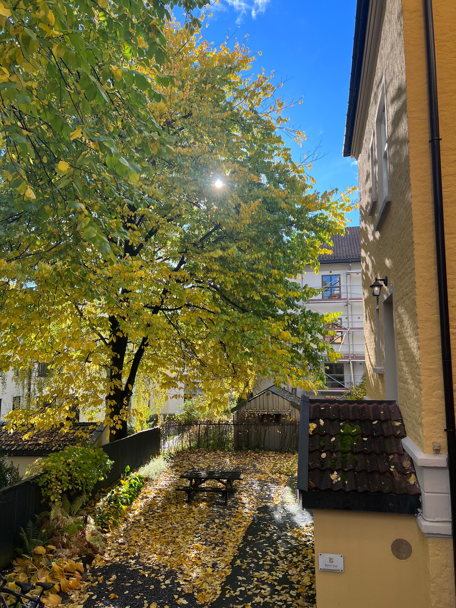 Hage fra inngangspartiet til oppgang B. Galleribilde