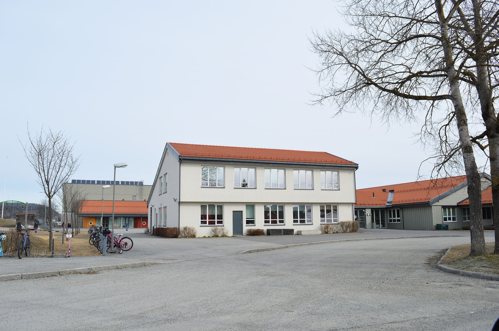 Skoger skole