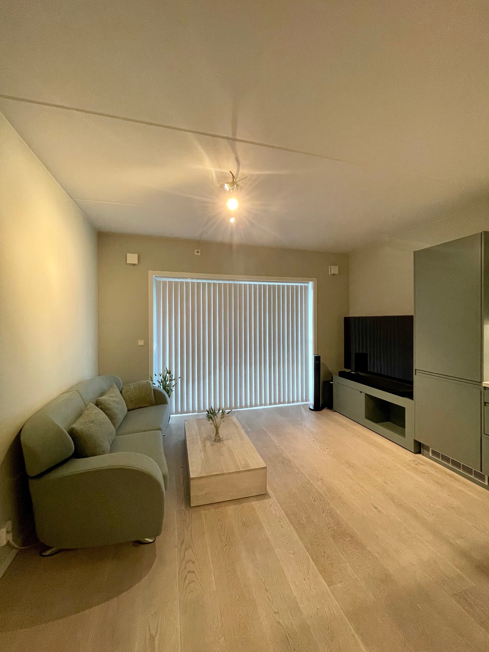 Stue med sofa, sofa- og tv-bord. Galleribilde