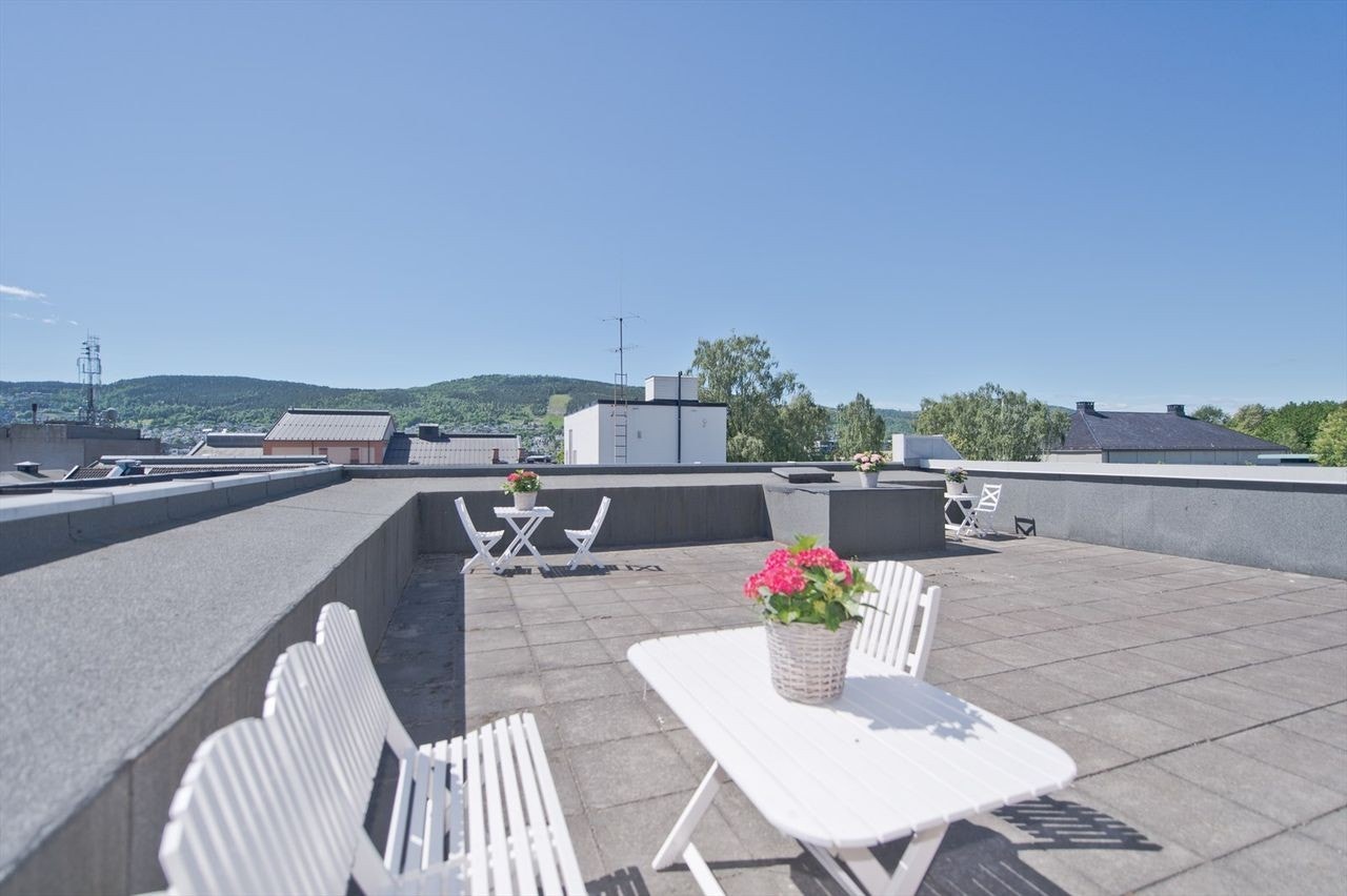 Takterasse Galleribilde