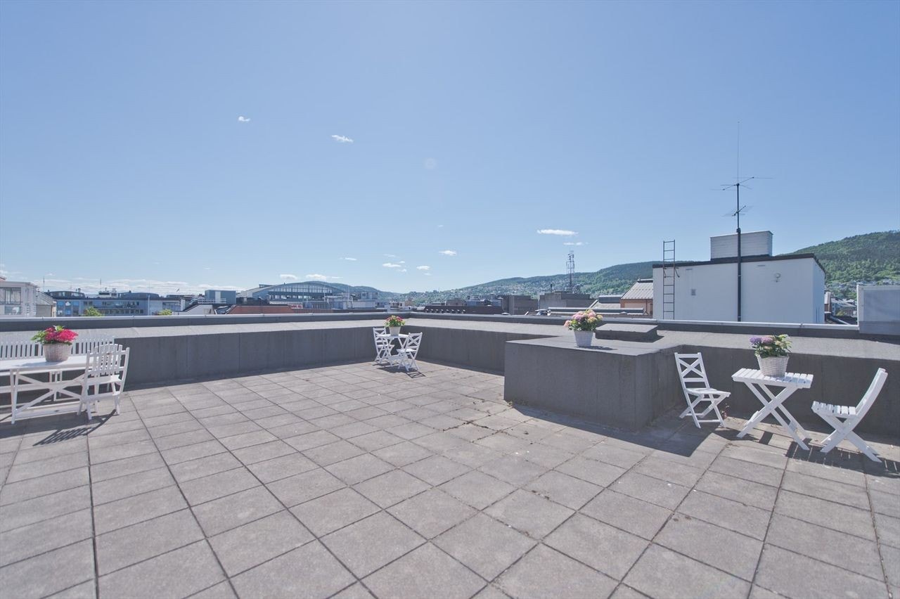 Takterasse Galleribilde