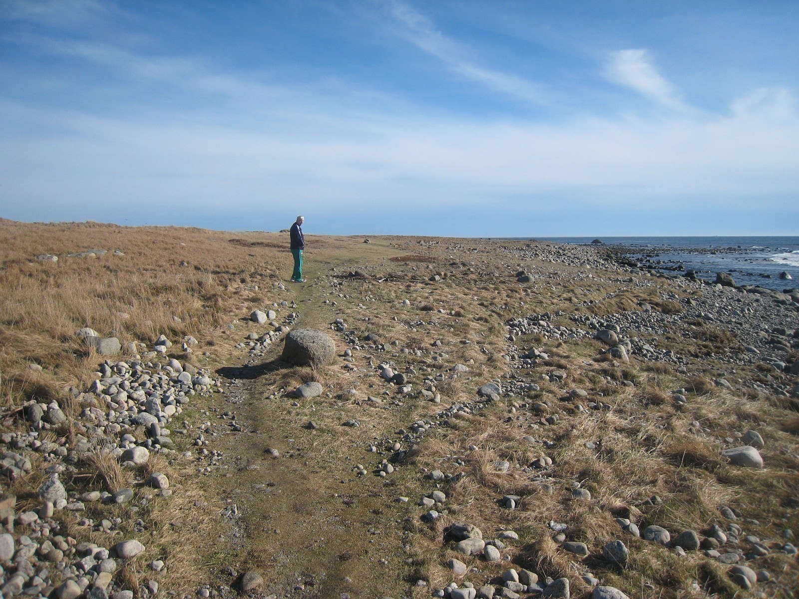 Flotte stier og turområdet. Galleribilde