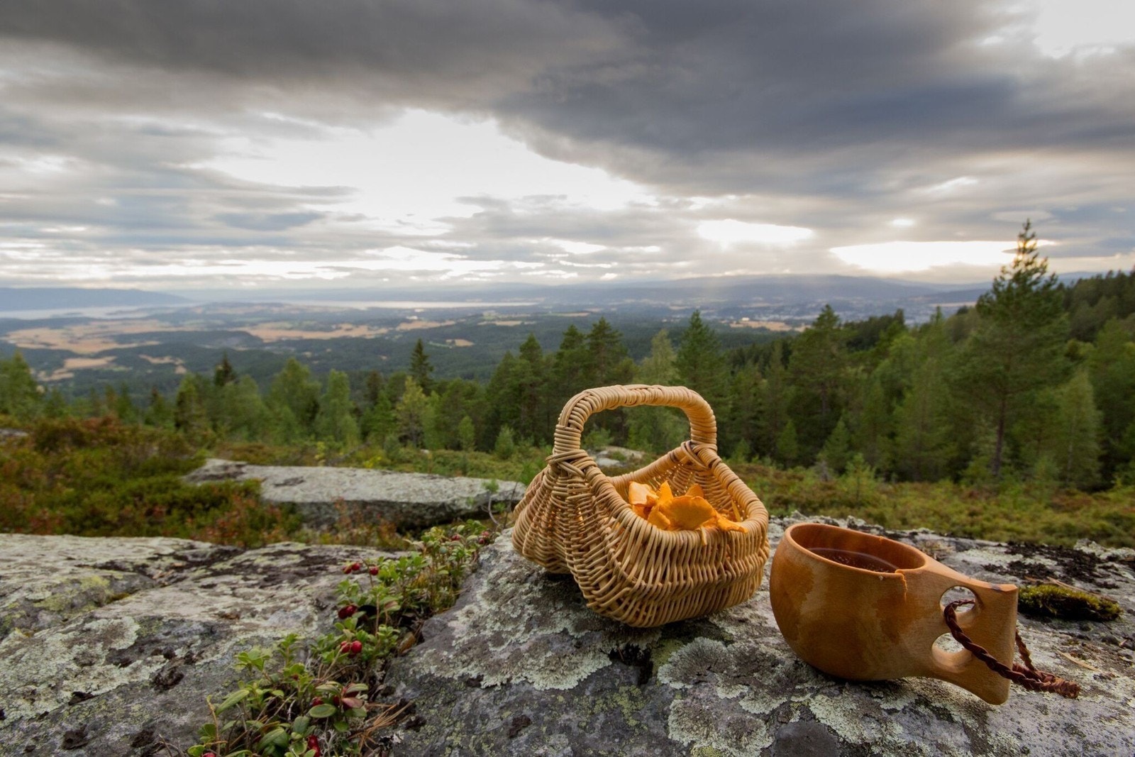 Nordmarka kun 20 min med bil unna. Galleribilde