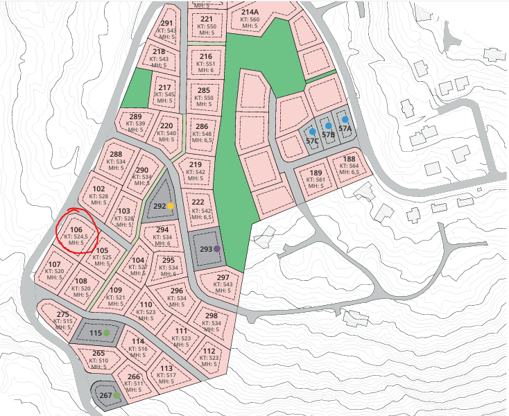 Tomteplassering på feltet. Skiløype i skogen for å skli ned til alpinanlegget. Galleribilde