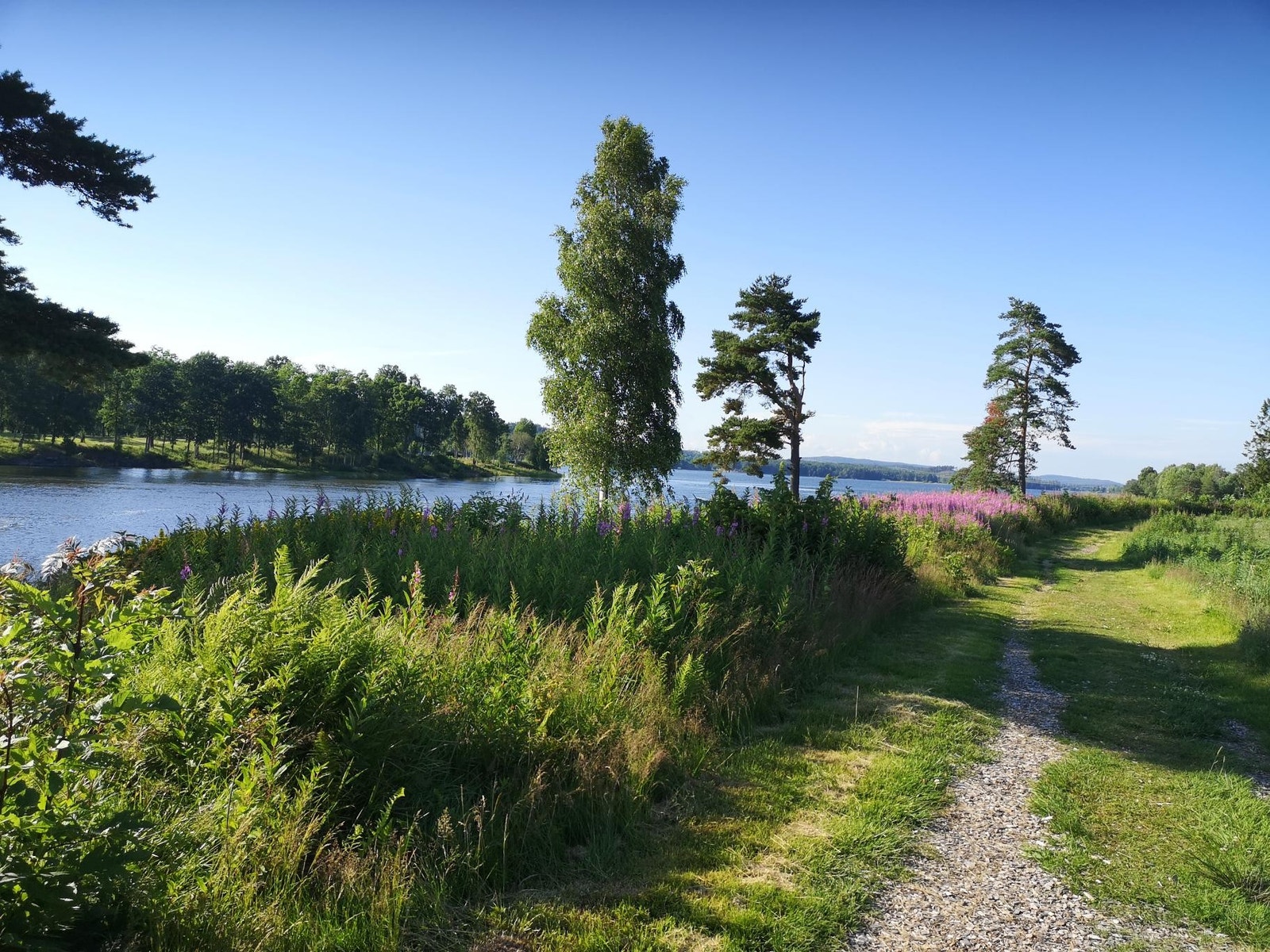 Øyastien Galleribilde