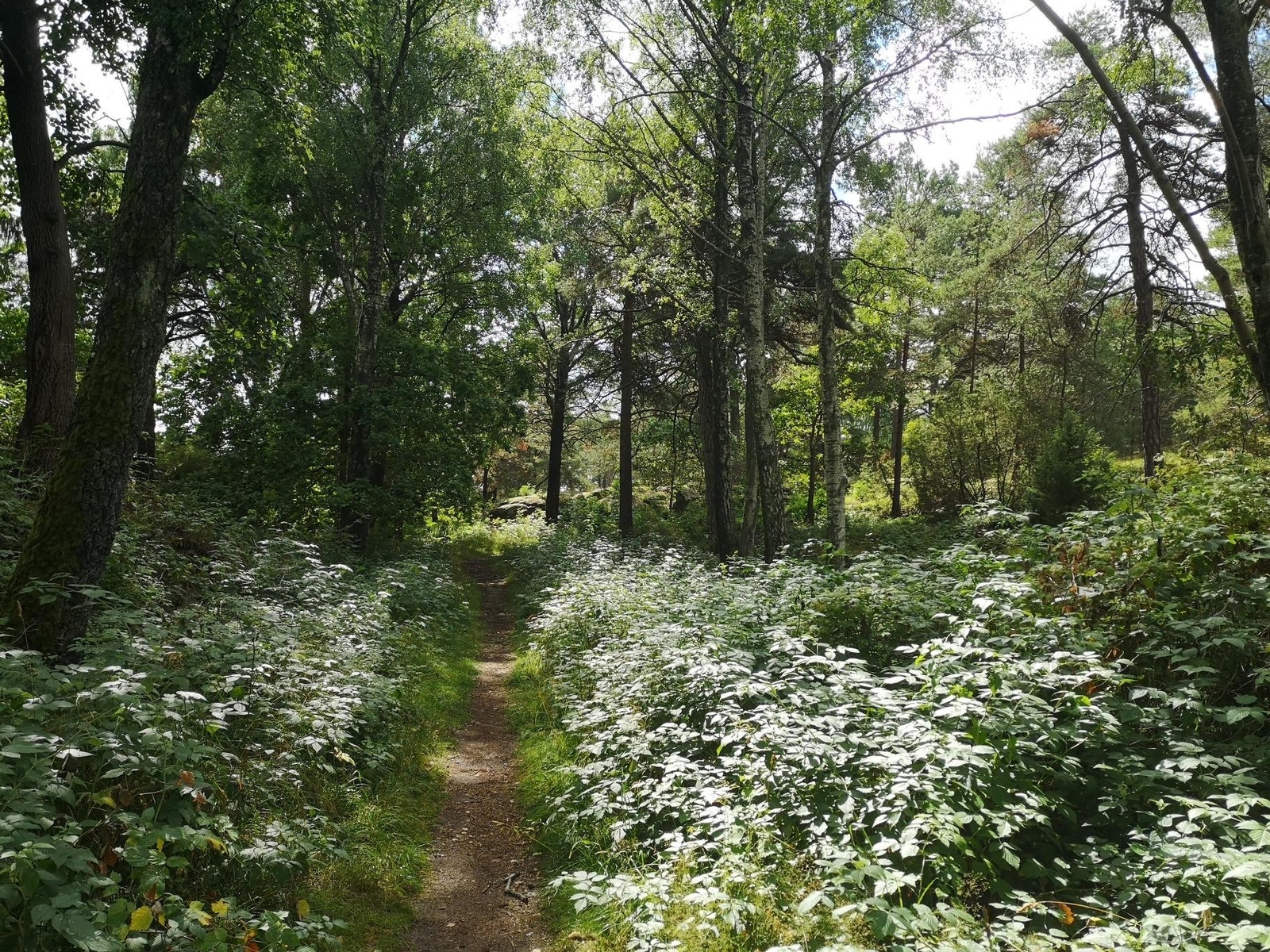 Tjernparken - 40 m fra boligen Galleribilde