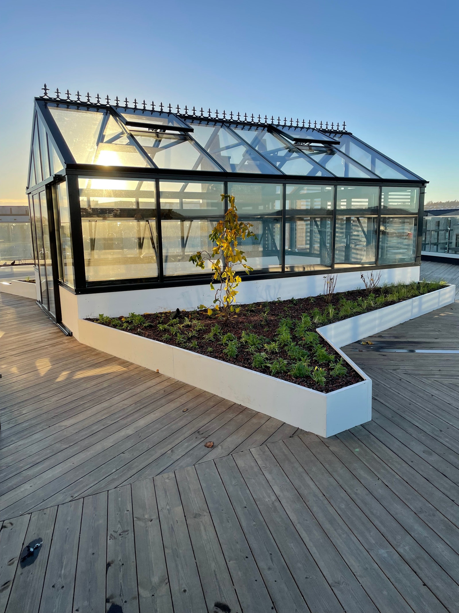 Felles drivhus på taket Galleribilde