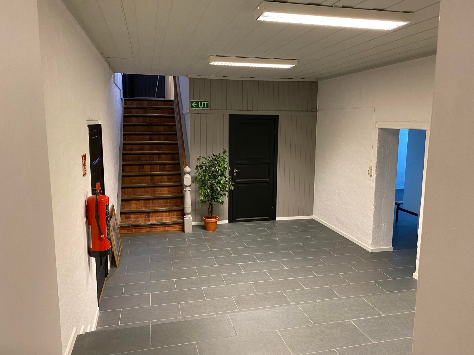 Hall kjeller Galleribilde