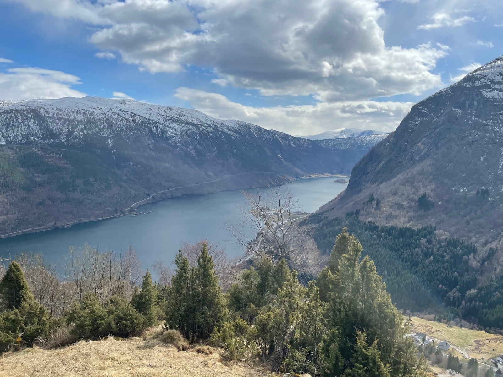 Turterreng i området Galleribilde