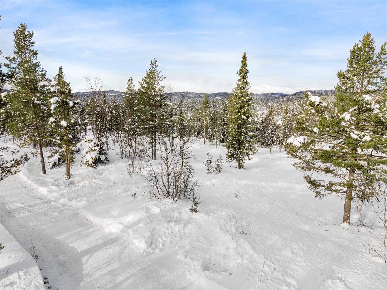 Utsikt fra tomten Galleribilde