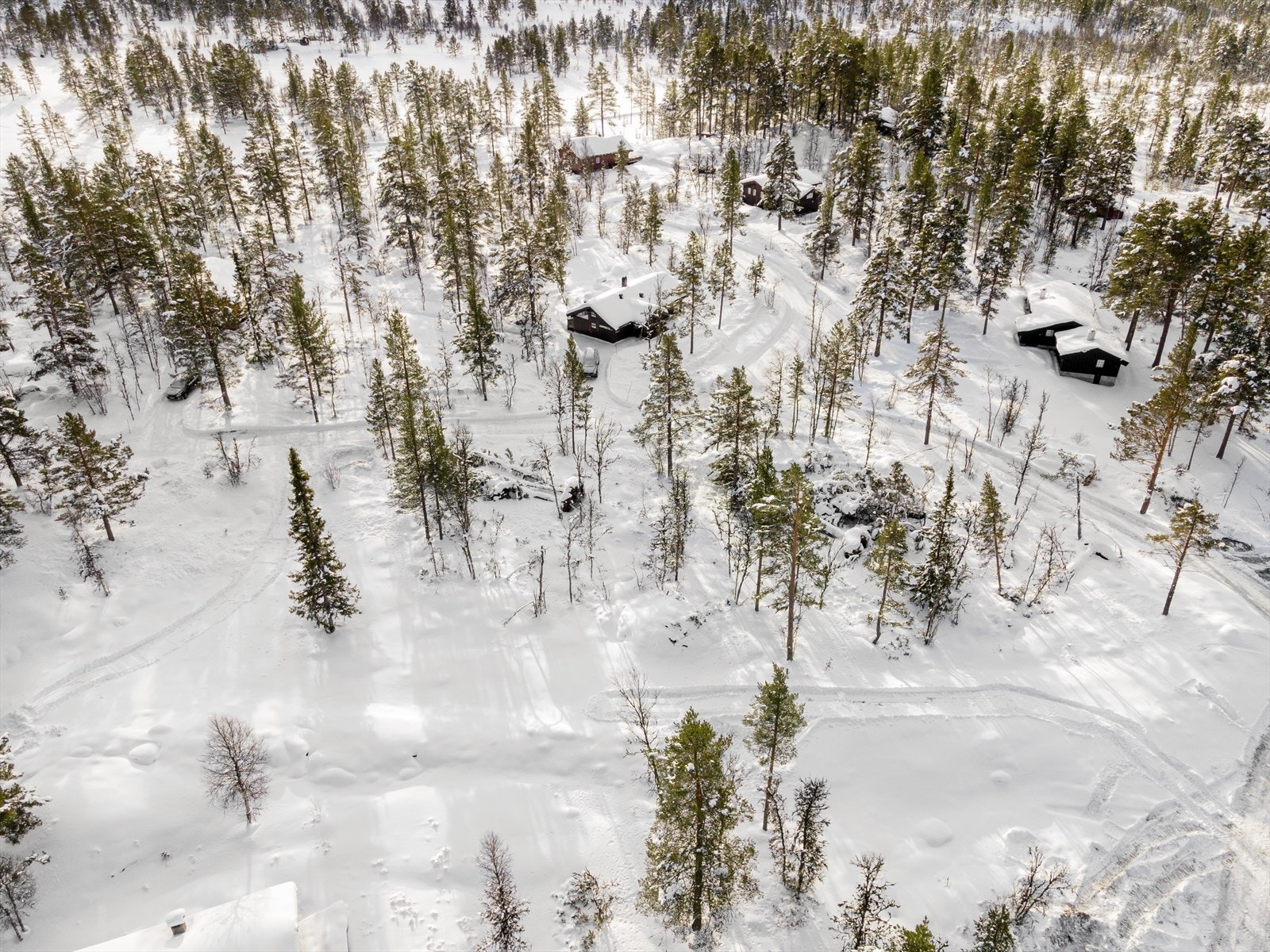 Tomten er lys og luftig, og ligger i et koselig hyttenabolag med spredt bebyggelse Galleribilde