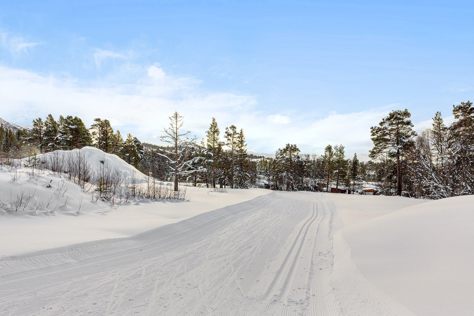 Ski-in/ ski-out til kilometervis med preparerte langrennsløyper! Galleribilde