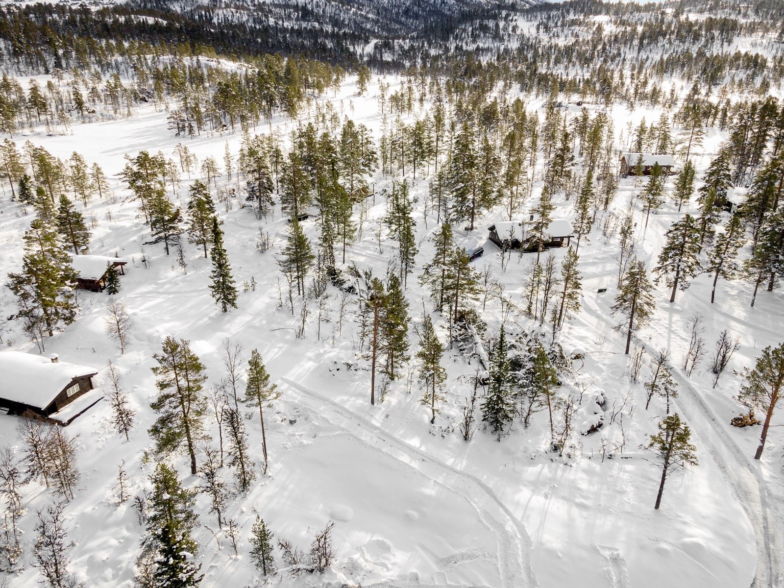 Tomten har barnevennlig og rolig beliggenhet, blindvei - Ingen gjennomkjøring/kun kjøring til hyttene Galleribilde