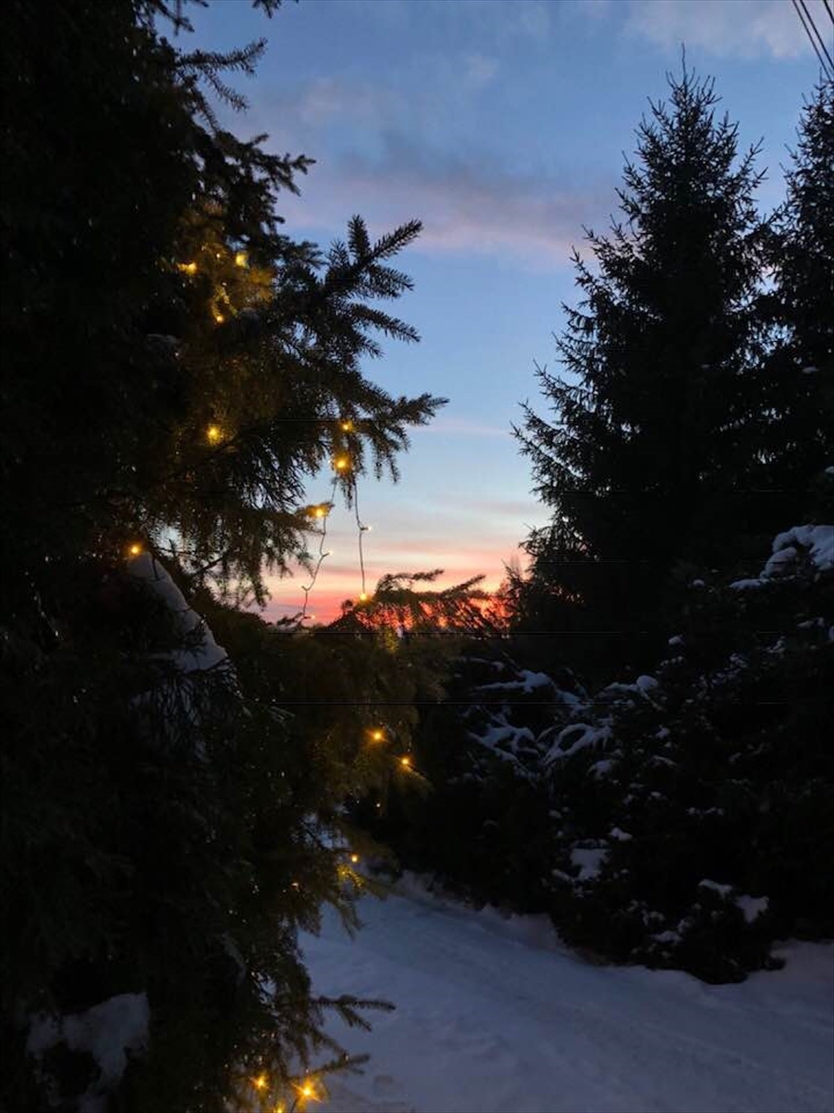 Julestemning - privat foto Galleribilde
