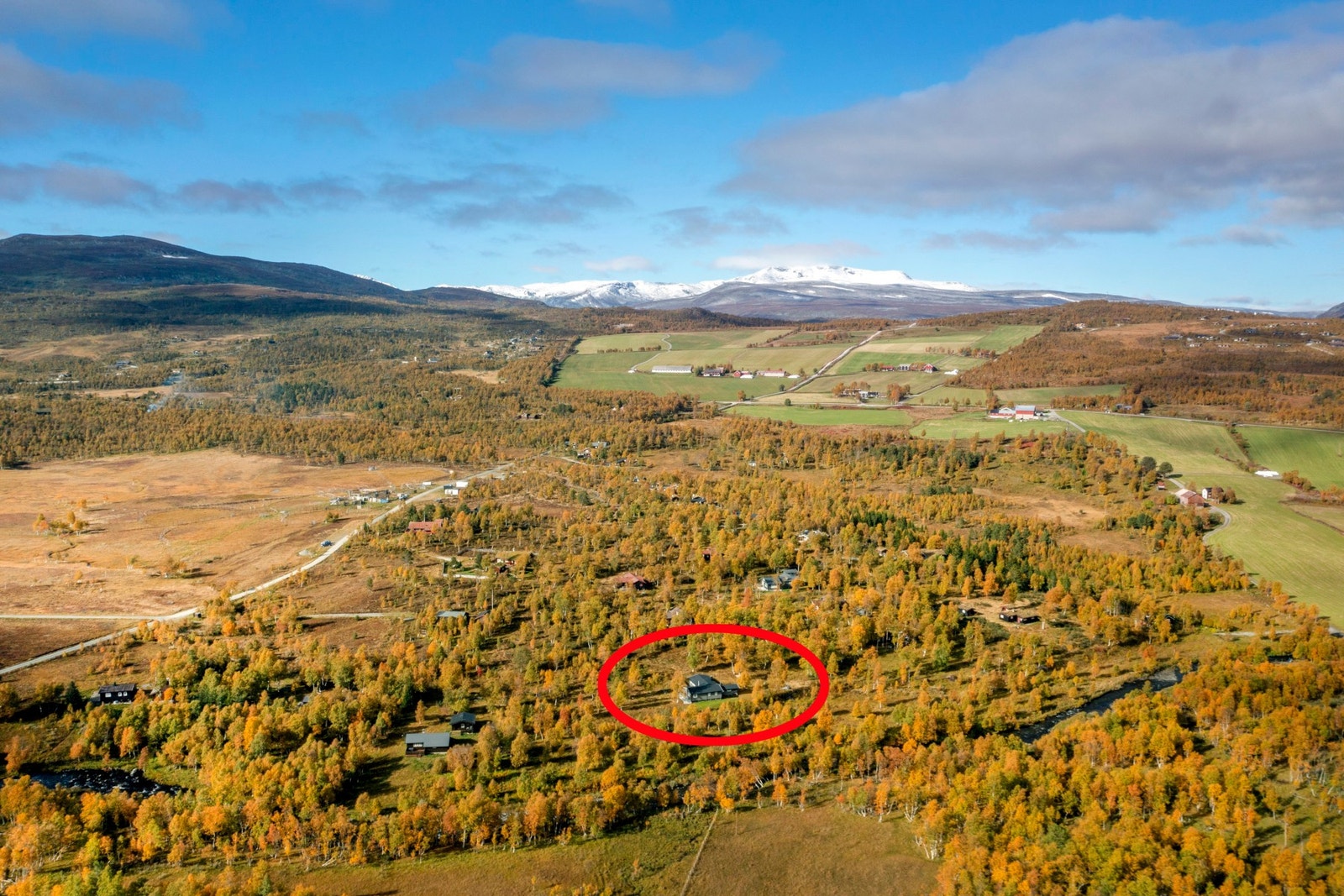 Velkommen til en hyggelig visning! Galleribilde