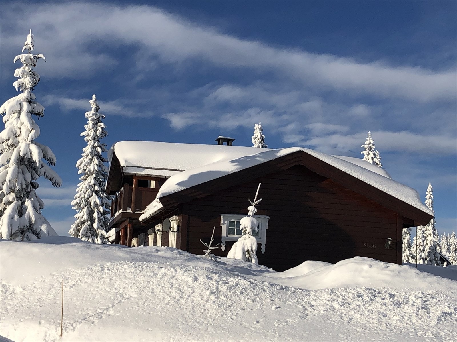 Sjusjøen er et flott helårsområde, men framfor alt en fantastisk langrennsdestinasjon. Fra selgers eget arkiv. Galleribilde