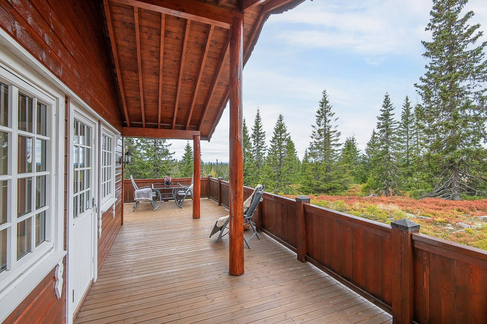 Lunt og fint i hytteveggen med naturen tett innpå. Galleribilde