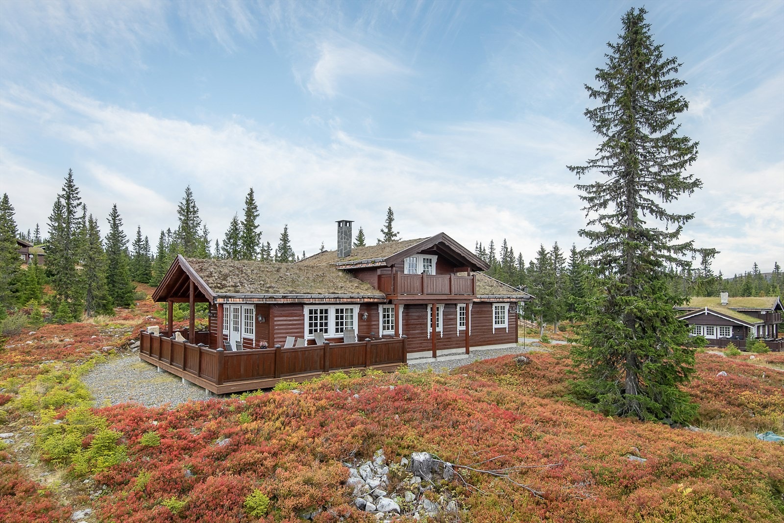 Velkommen til Sjusjøen-Brøttum 2536! Galleribilde