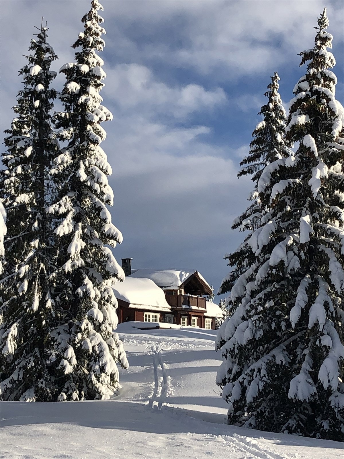 Du ligger tett på skiløypene, de går rett forbi hytta. Galleribilde
