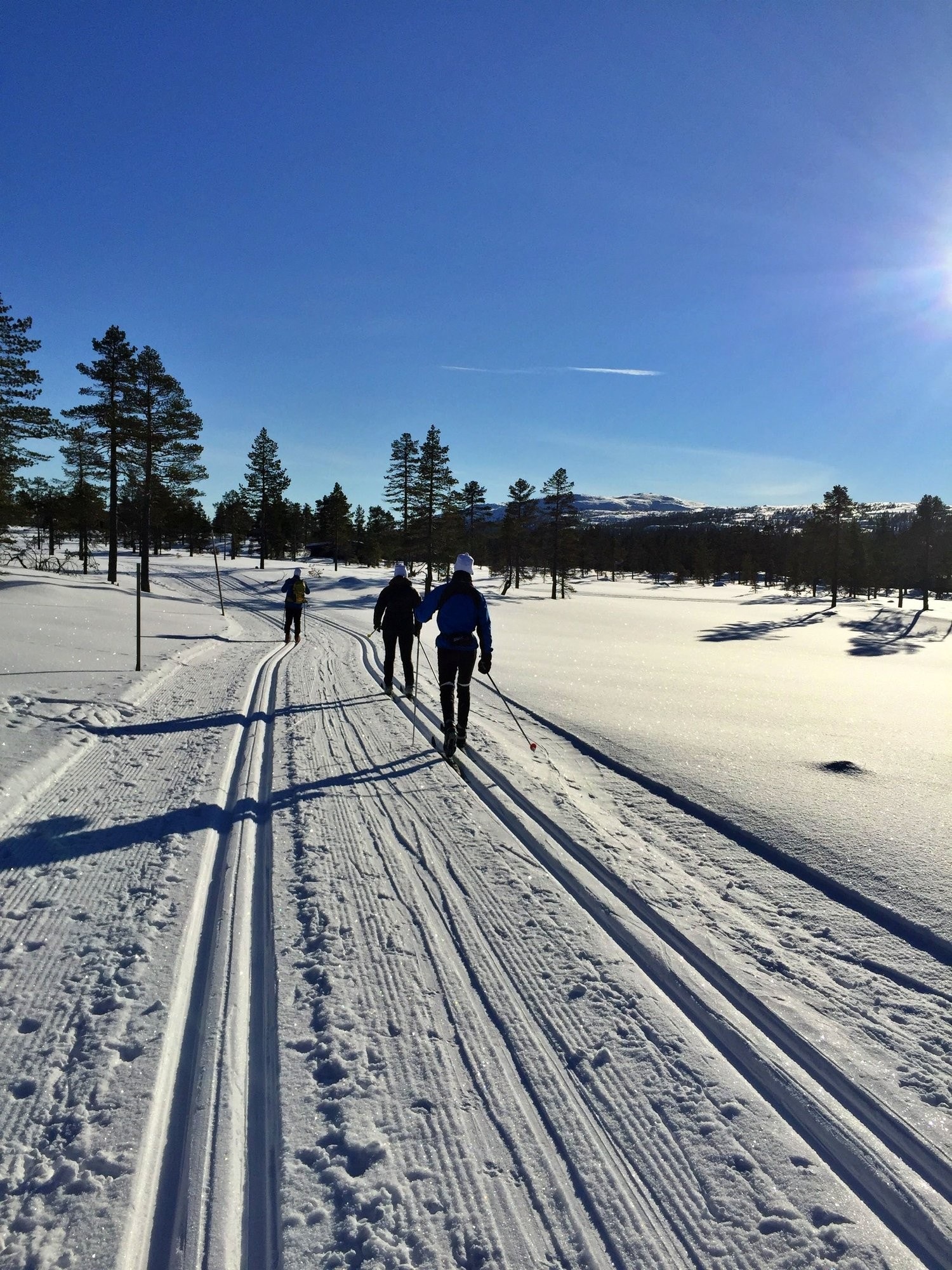 Populære langrennsløper Galleribilde