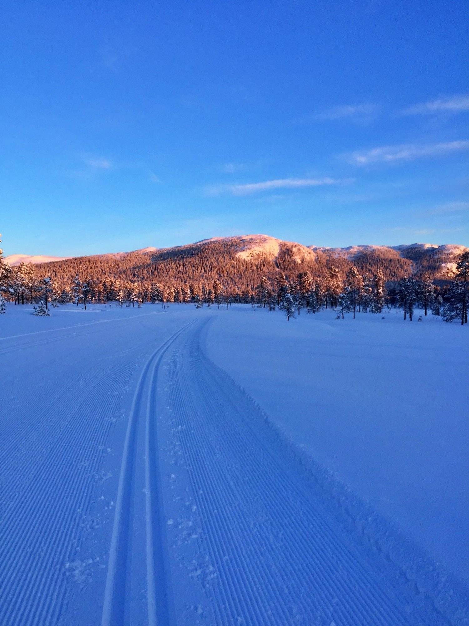 Gyranfisen (1127 moh) i horisonten Galleribilde