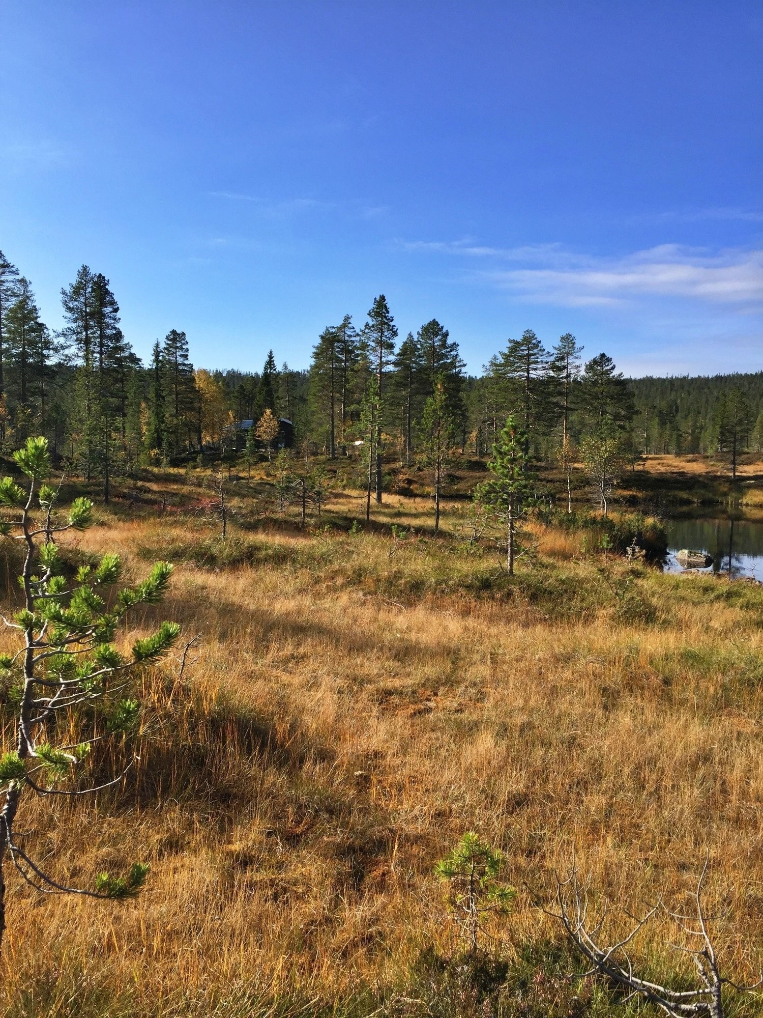 Flotte turområder Galleribilde