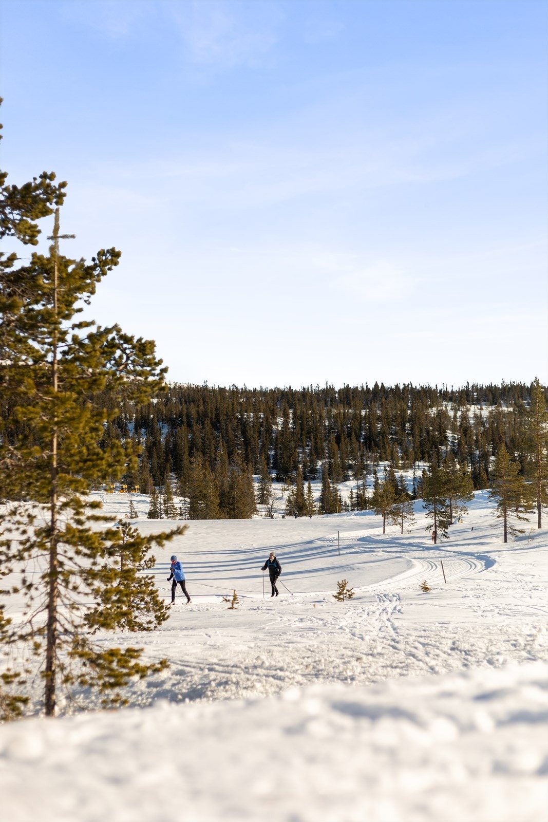 Ca. 4 km langs langrennsløyåa til Bøseter, med matservering, kafe, afterski, klatrevegg, spa og svømmebasseng Galleribilde