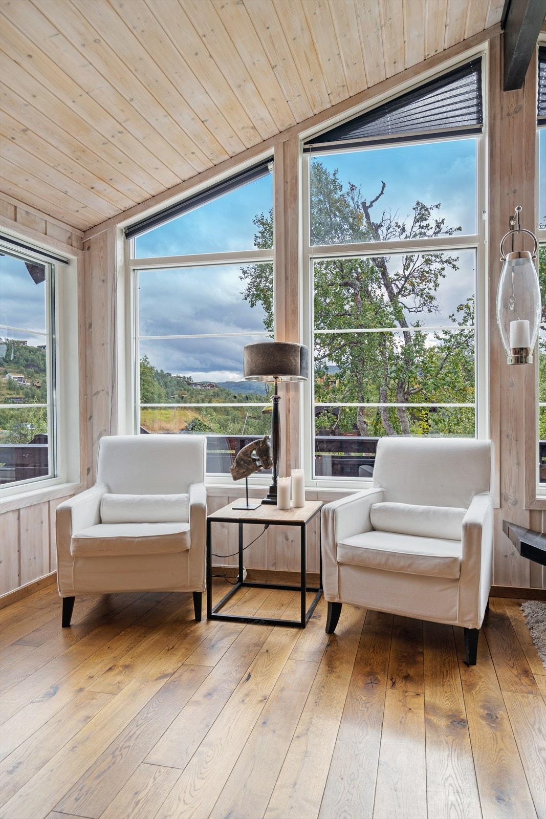 Utsikt mot sør og til skisenteret Galleribilde