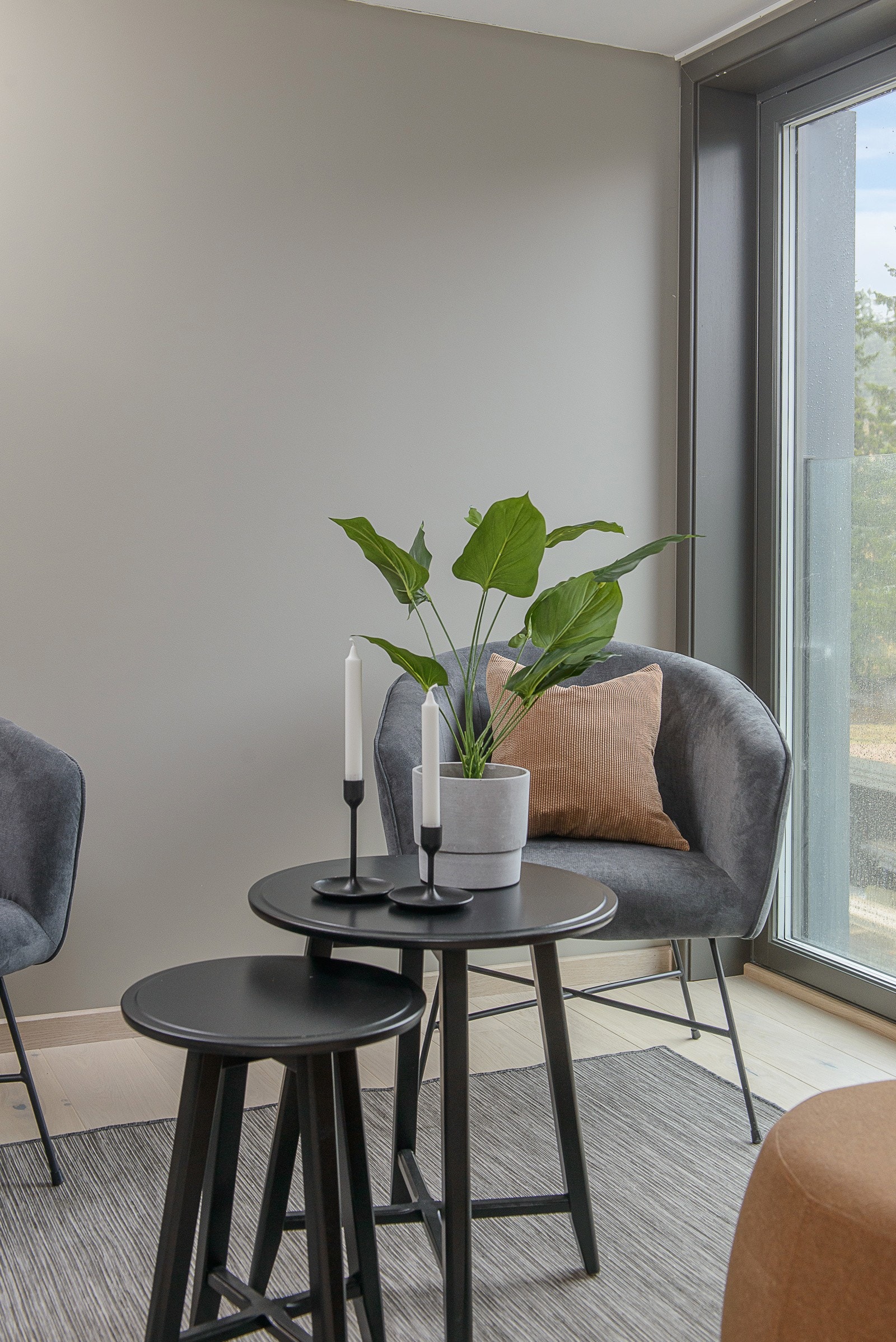 26nevra Galleribilde