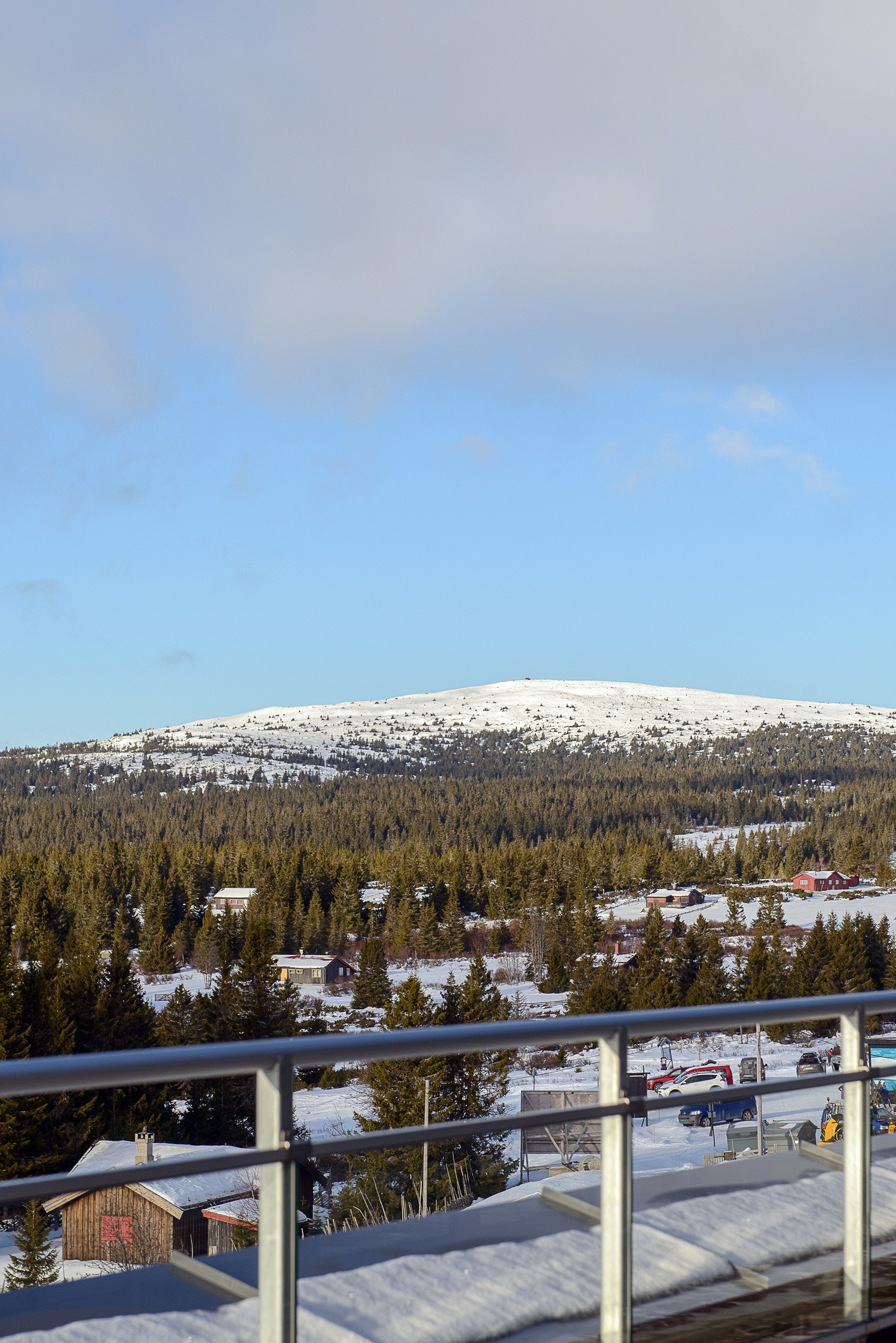 Nevertoppen Galleribilde