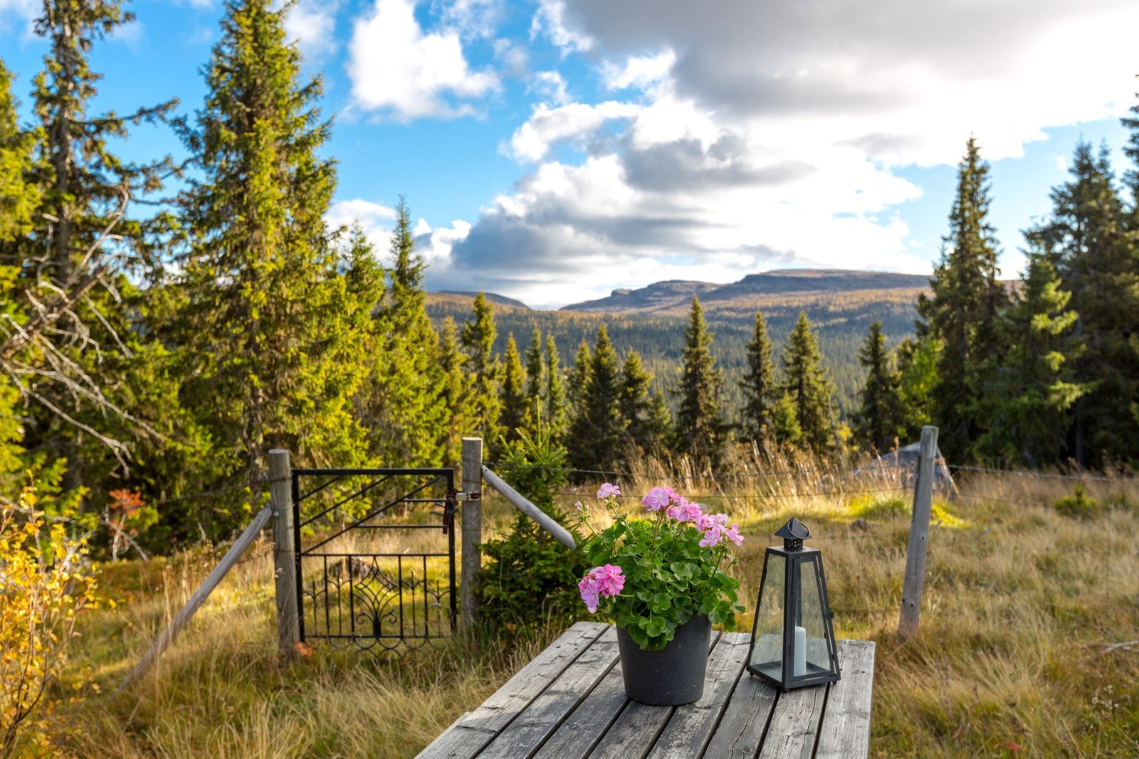 Svinslåvegen 382 (21) Galleribilde