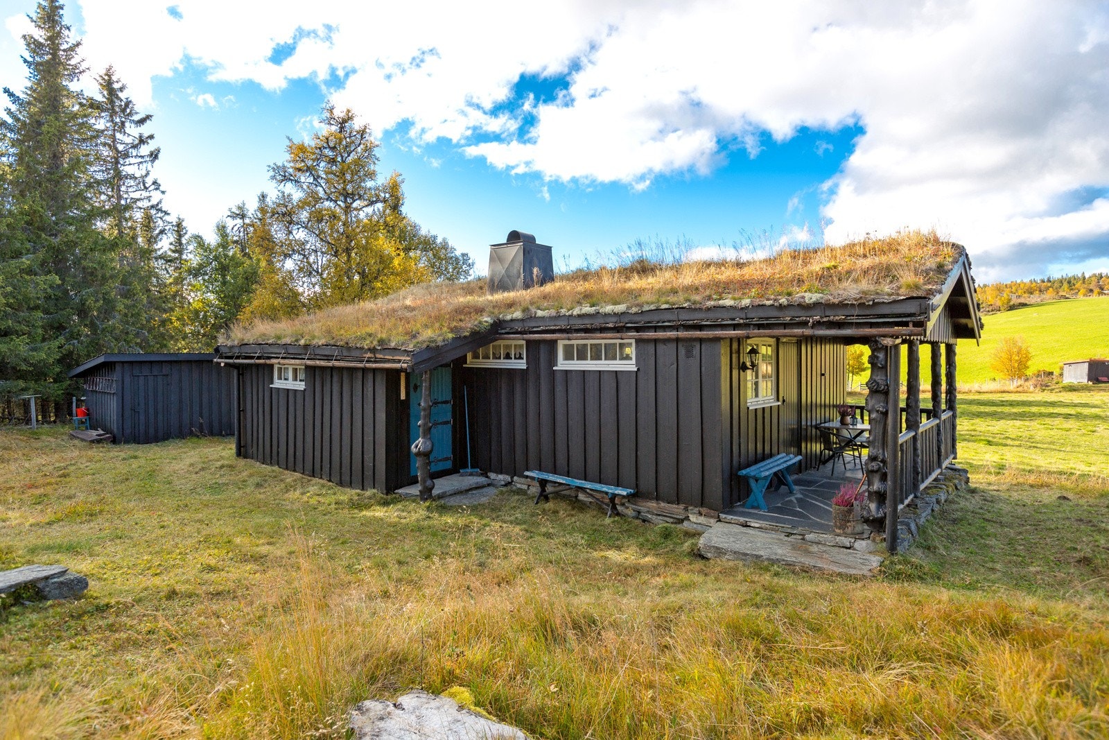 Eiet tomt med gressarealer og naturtomt. Galleribilde