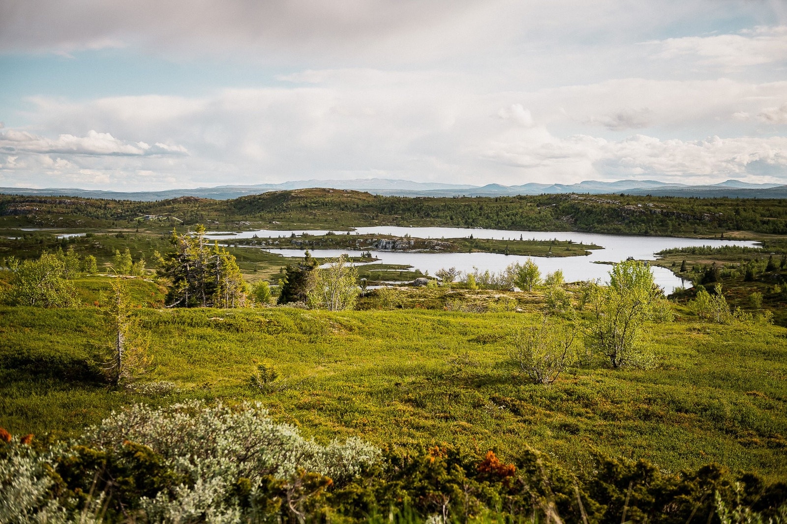 Nydelige tur-/og bademuligheter. Galleribilde