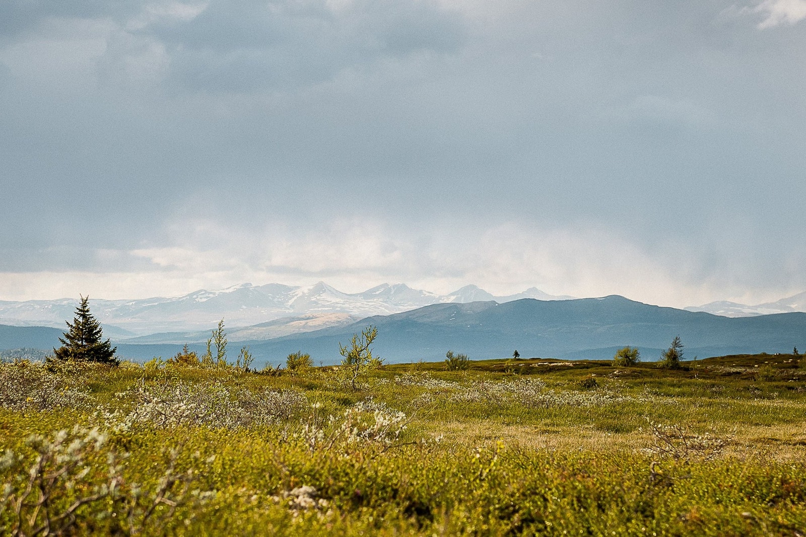 Vinterstid finner du langrennsporet rett utenfor leiligheten, sommerstid er det fine turmuligheter. Galleribilde