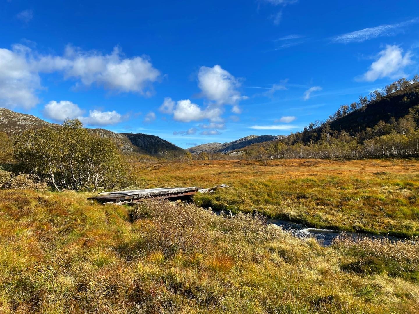 Sandvassdalen Galleribilde