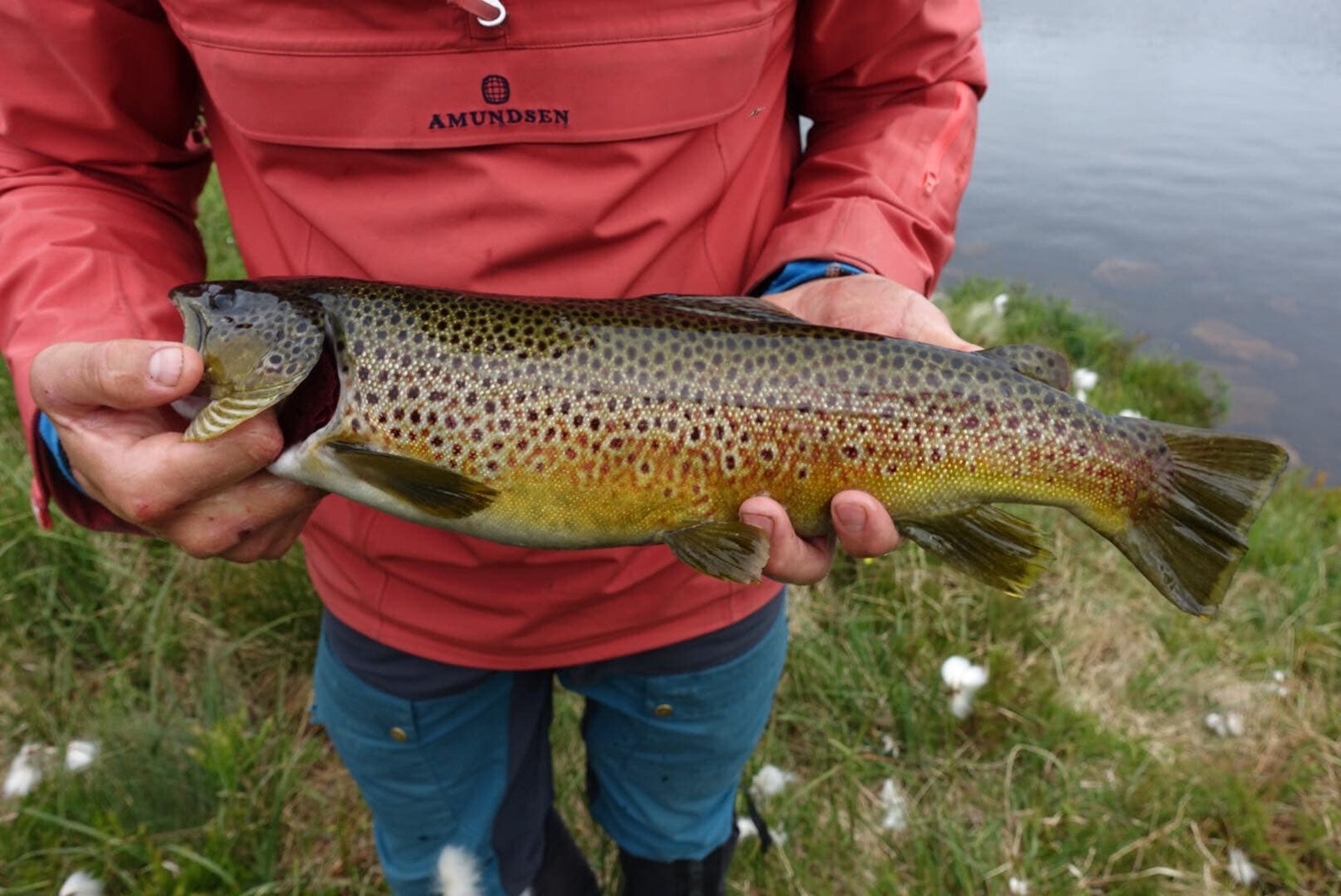 Gode fiskemuligheter innover fjellet Galleribilde