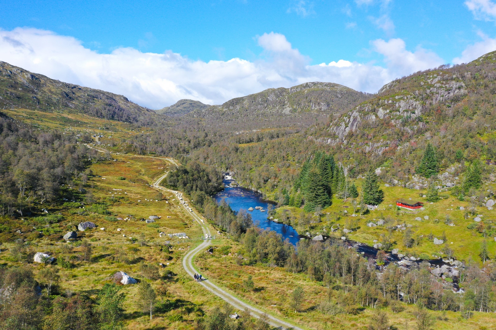 Flere kilometer med skogsveier i rolige og idylliske områder. Galleribilde