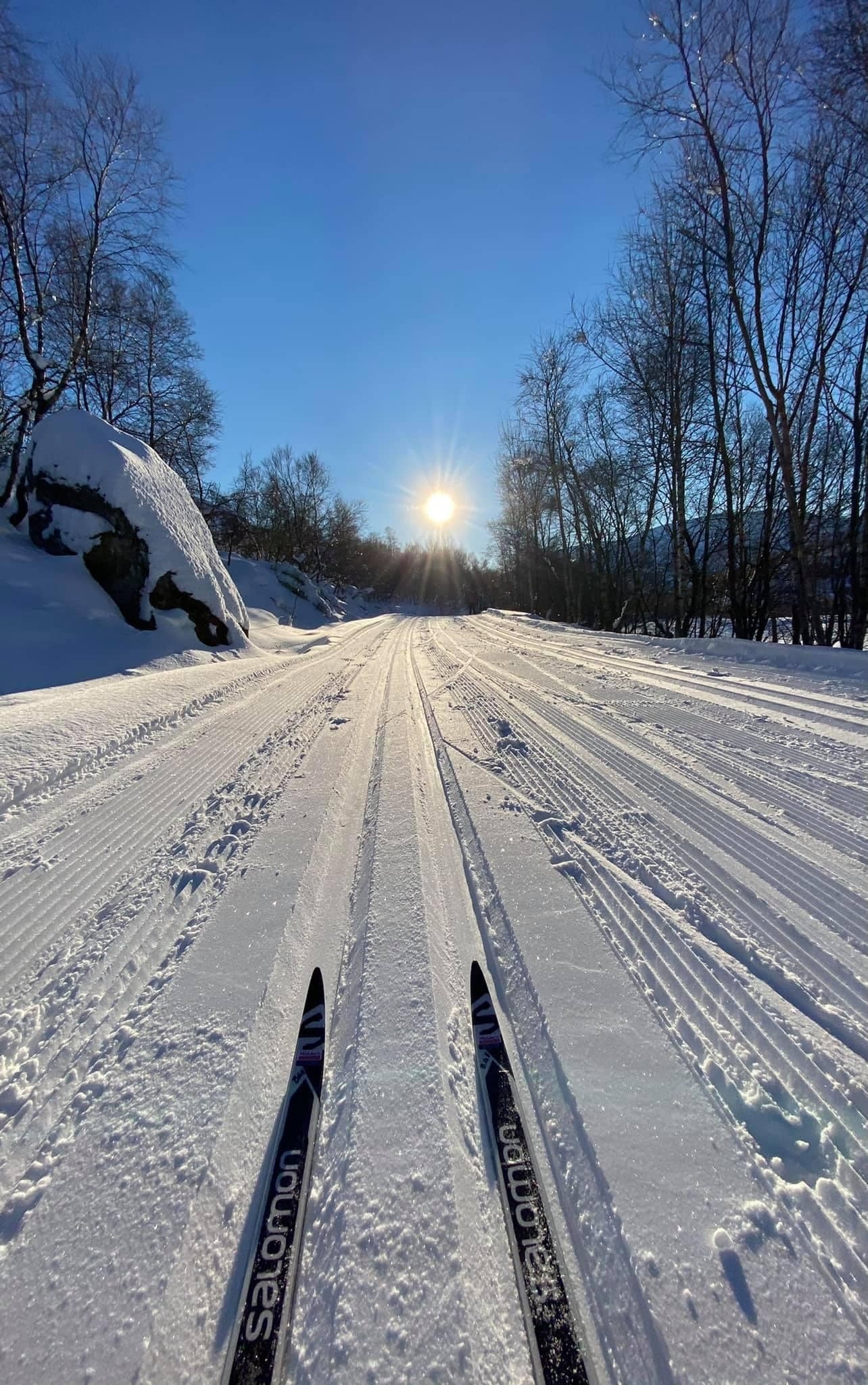 Ski in / ski out til skisporet Blå Løype. Kjøres alt er det ca 2 mil med flotte skiløyper Galleribilde