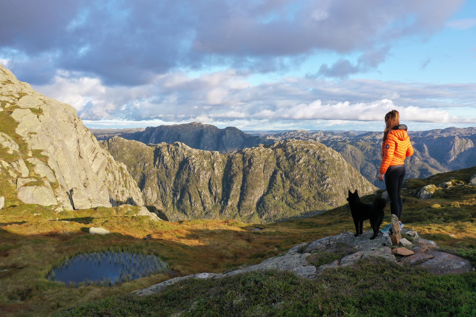 Skibufjellet 843moh Galleribilde