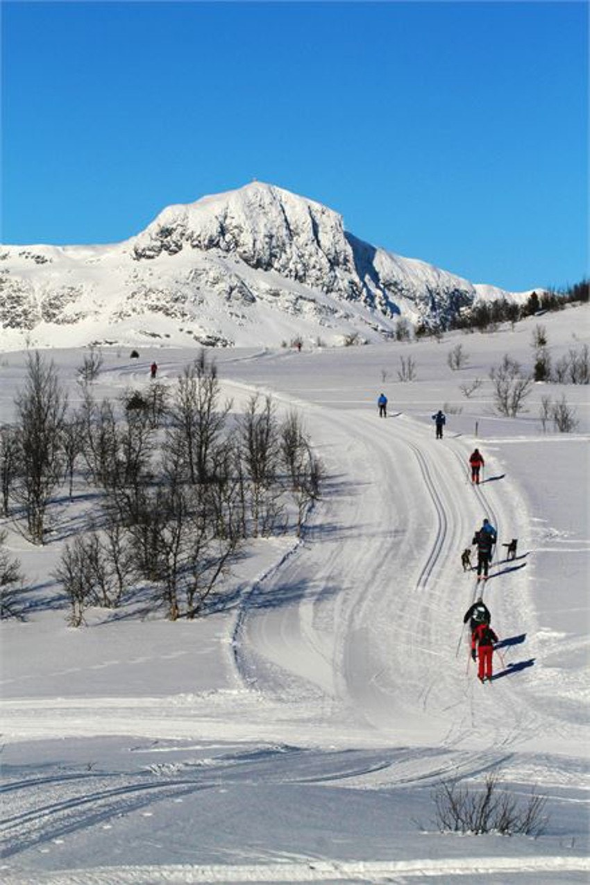 Skiløyper ved Bitihorn - Husk å støtte løypelaget Galleribilde