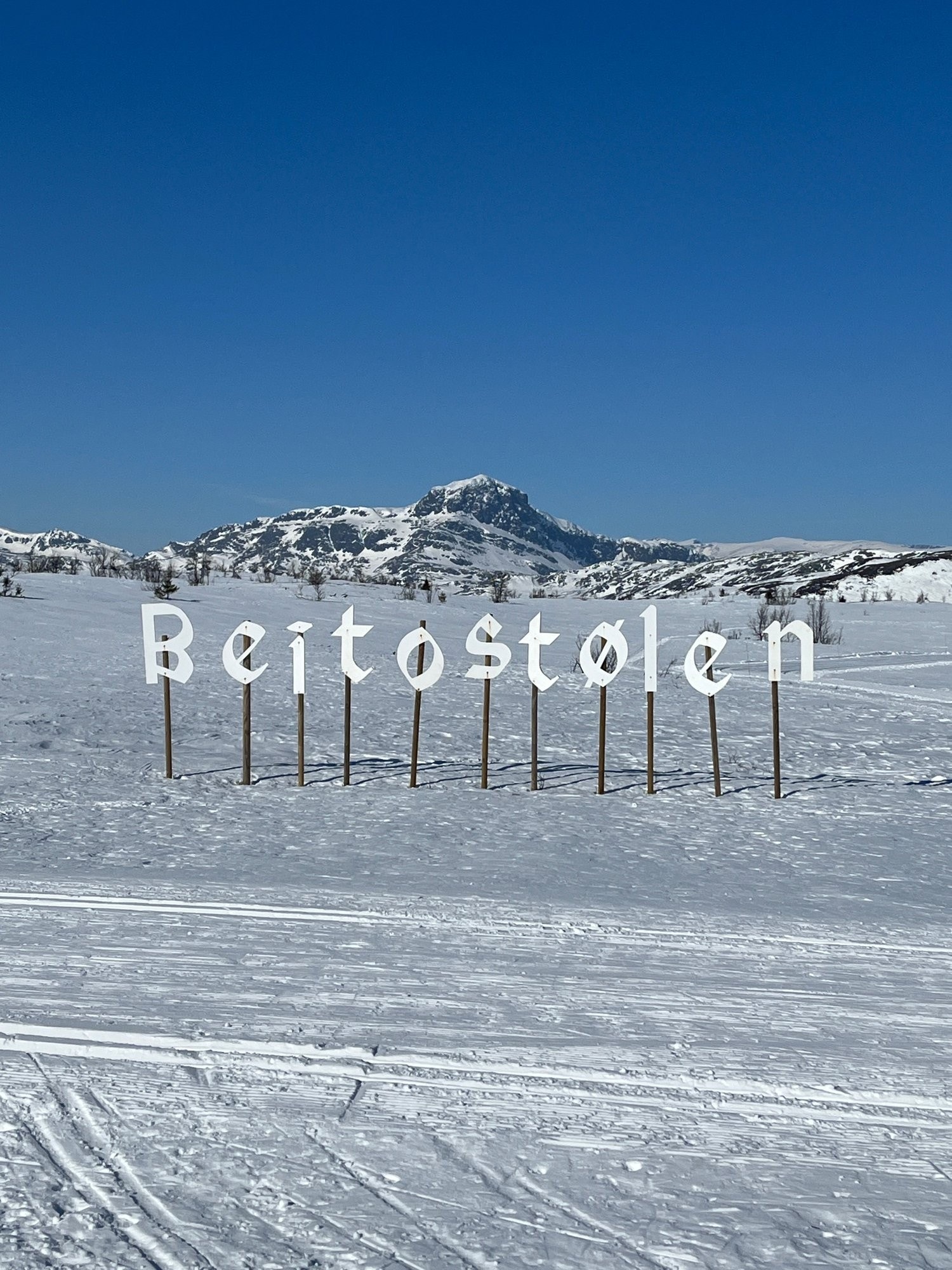 Må oppleves. Galleribilde